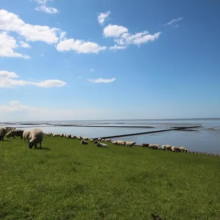 Grosse Nordseewelle Ohne Hund Norden