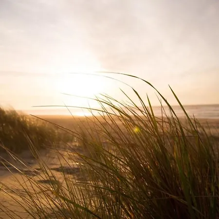 Grosse Nordseewelle Ohne Hund Holiday home
