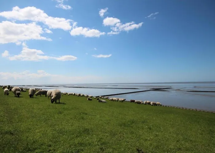 Grosse Nordseewelle Ohne Hund Норден