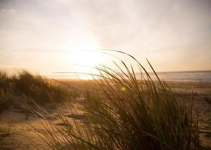 Grosse Nordseewelle Ohne Hund Дом отдыха